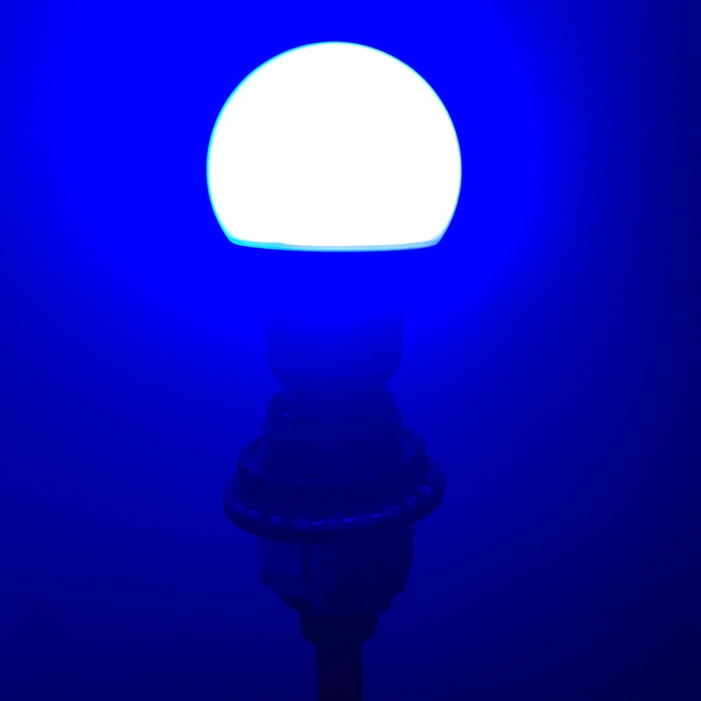 Led lightbulb + remote.